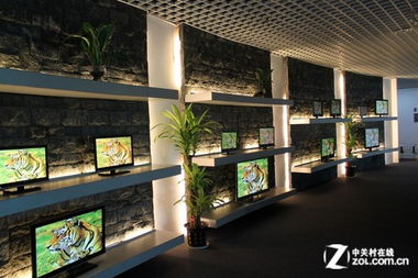 企业文化的多元展示 从平板电视到化妆品的品牌创新之路